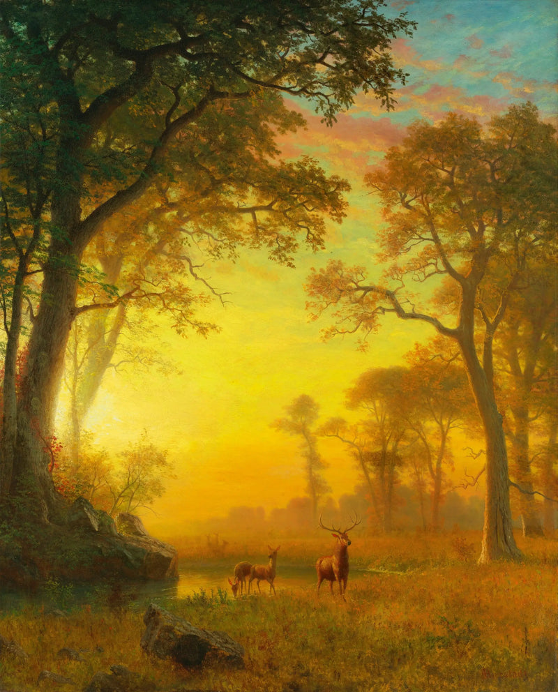 Světlo v lese - Albert Bierstadt
