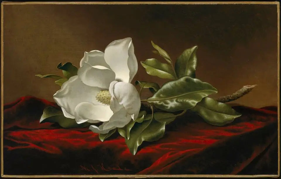 Magnolia grandiflora - Martin Johnson Heade - Alpha Reproduction