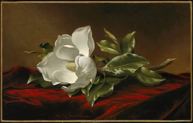 Magnólie velkolistá - Martin Johnson Heade