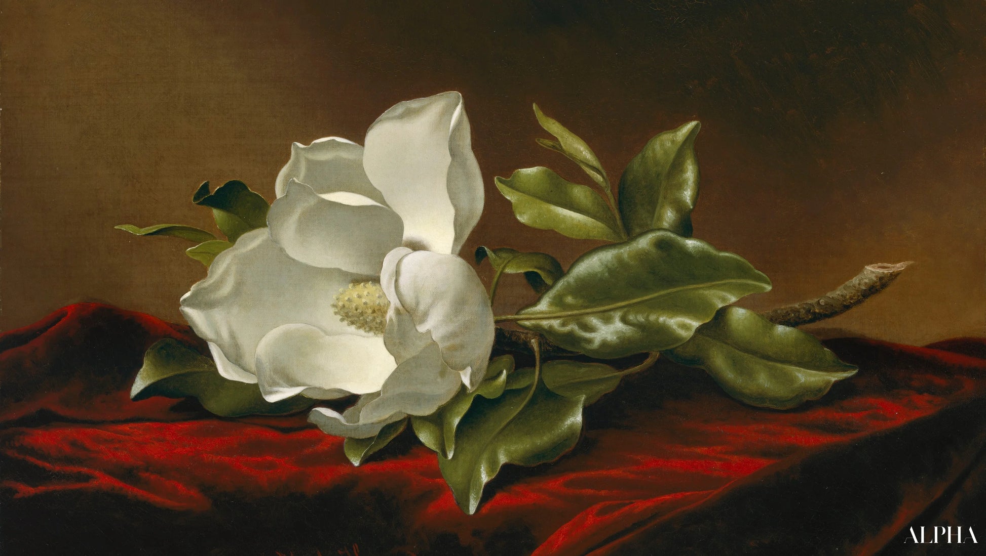 Magnolia Grandiflora - Martin Johnson Heade - Reproductions de tableaux et peintures haut de gamme