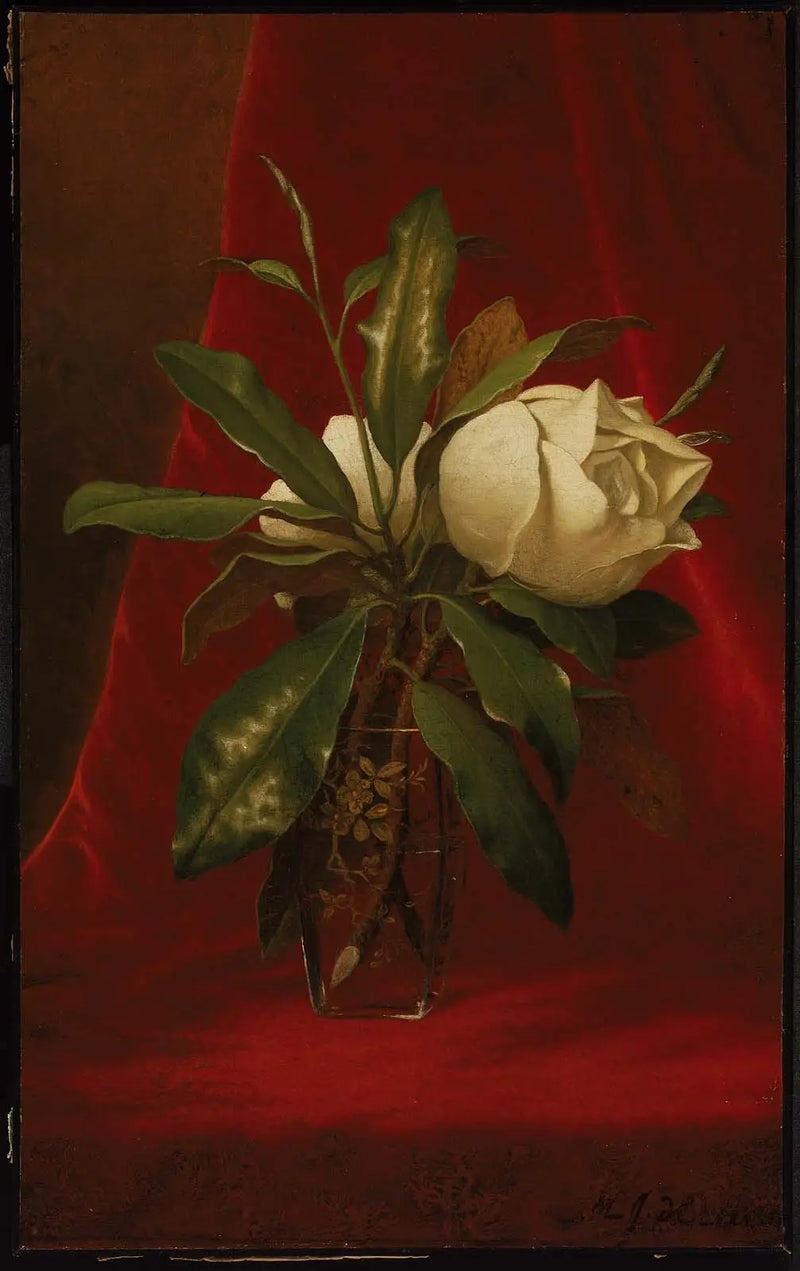 Magnolie - Martin Johnson Heade