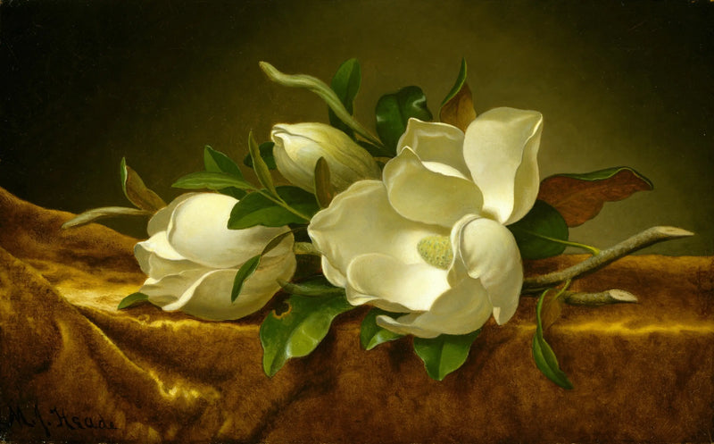 Magnolie na sametu zlaté tkaniny - Martin Johnson Heade
