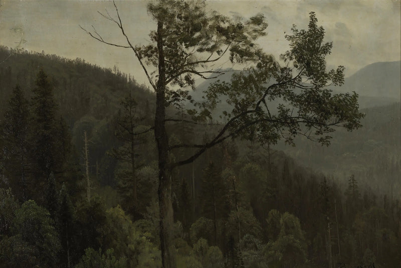 Hory pokryté stromy - Albert Bierstadt