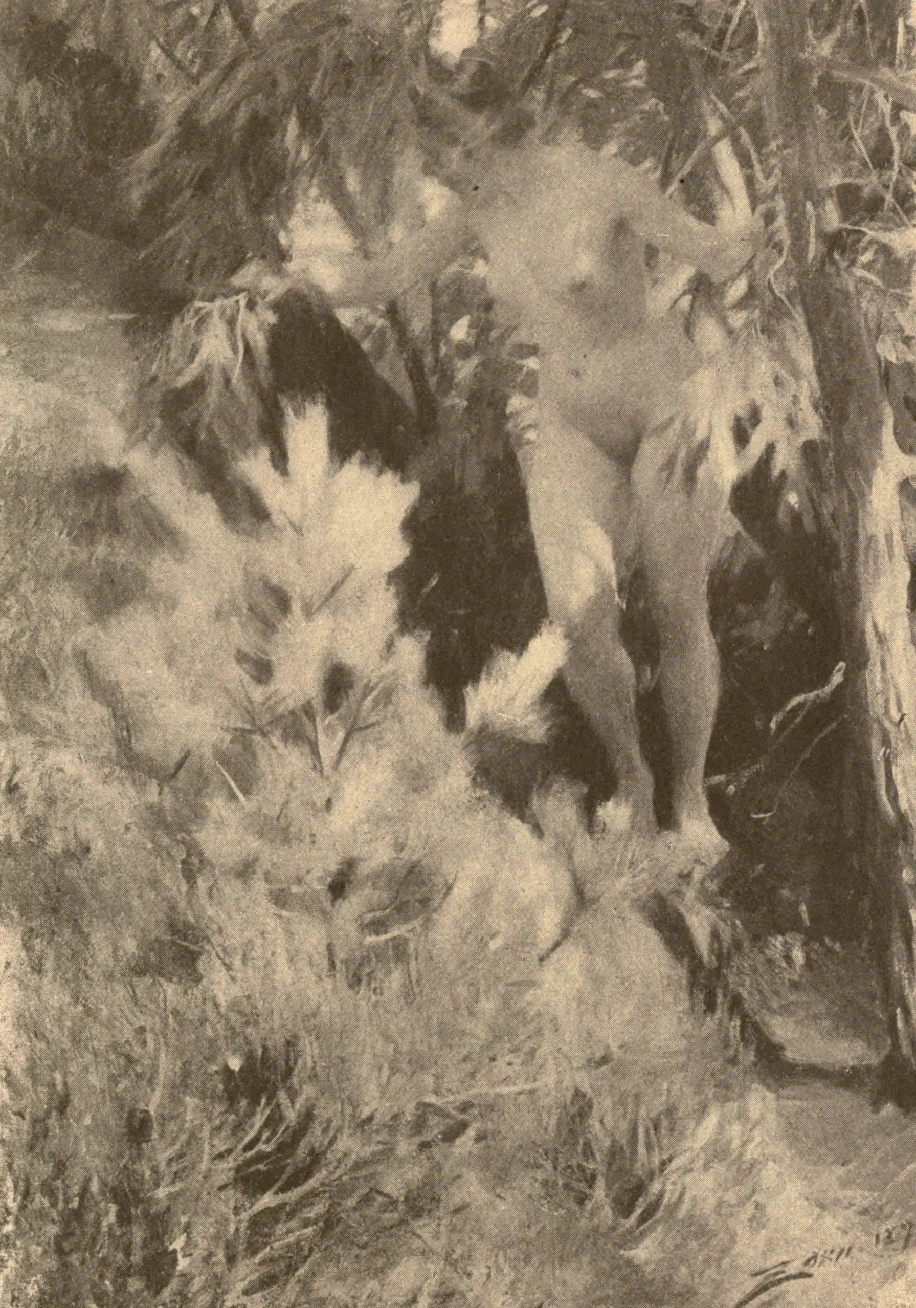 Nu sous un arbre - Anders Zorn - Alpha Reproduction