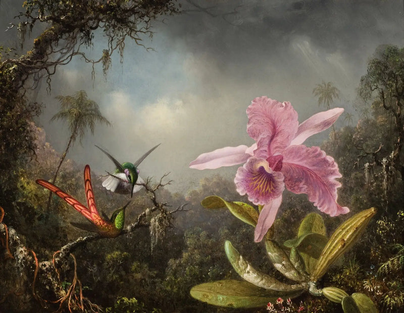 Orchidej s dvěma kolibříky - Martin Johnson Heade