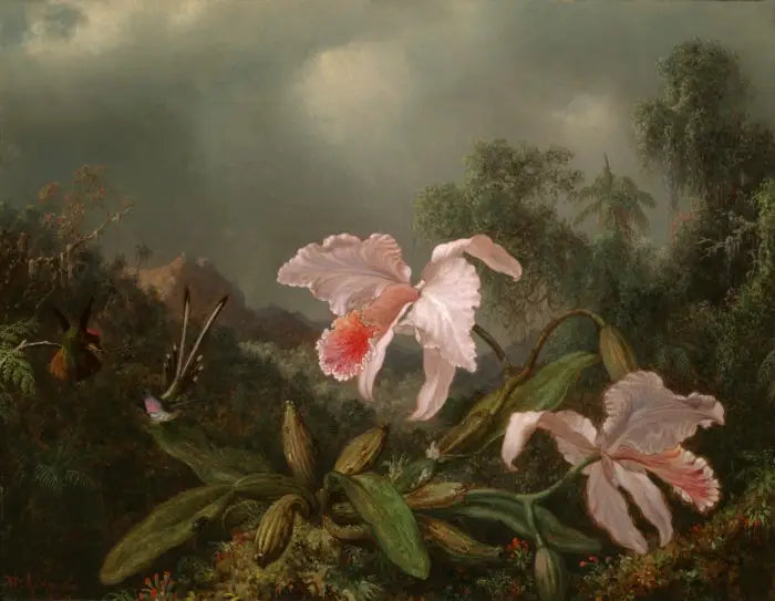 Orchideje z džungle a kolibříci - Martin Johnson Heade