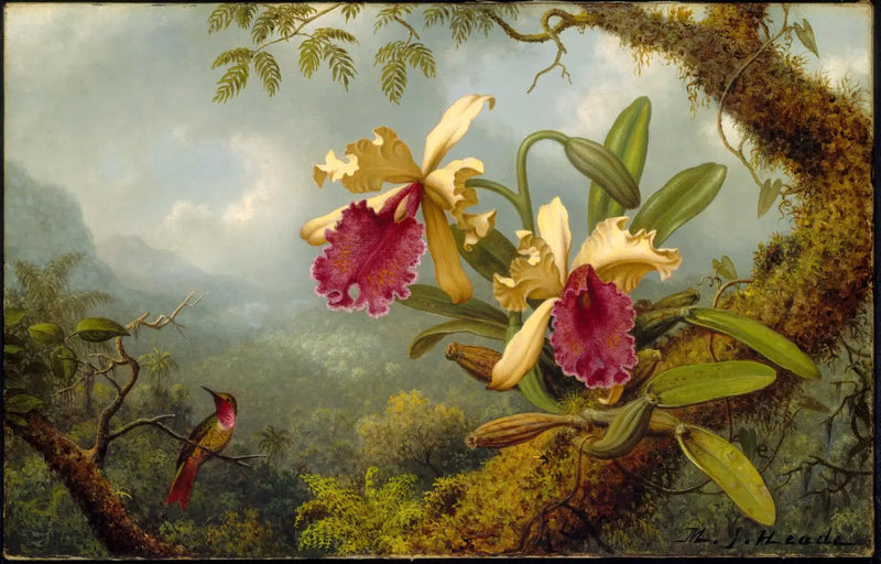 Orchideje a kolibřík - Martin Johnson Heade
