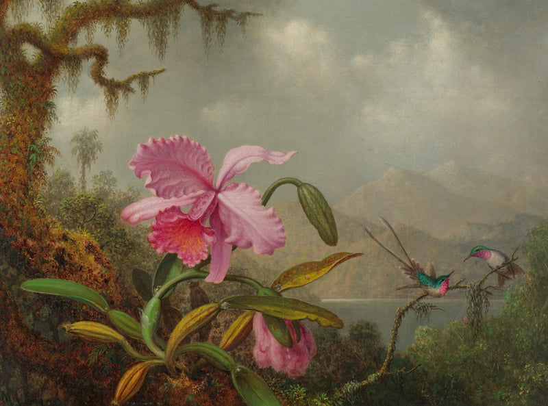 Orchideje a kolibříci - Martin Johnson Heade