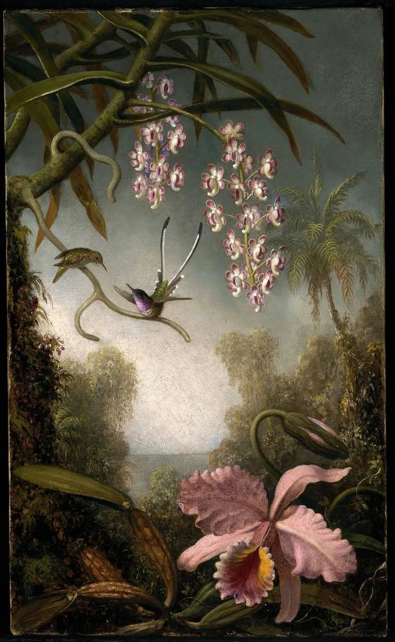 Orchideje a orchideje ve spreji s kolibříkem - Martin Johnson Heade