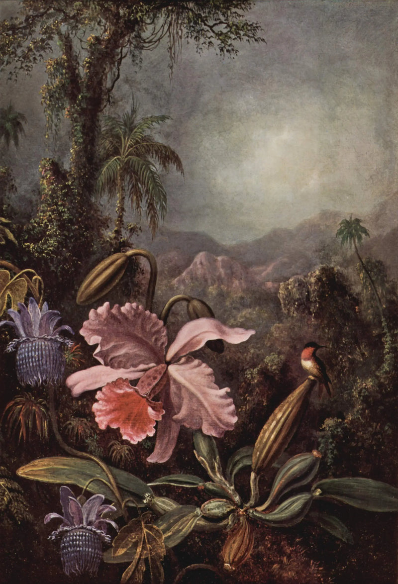 Orchideje, passifloras a kolibříci - Martin Johnson Heade
