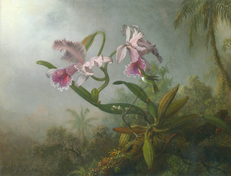 Orchideje, růže a kolibřík na větvičce - Martin Johnson Heade
