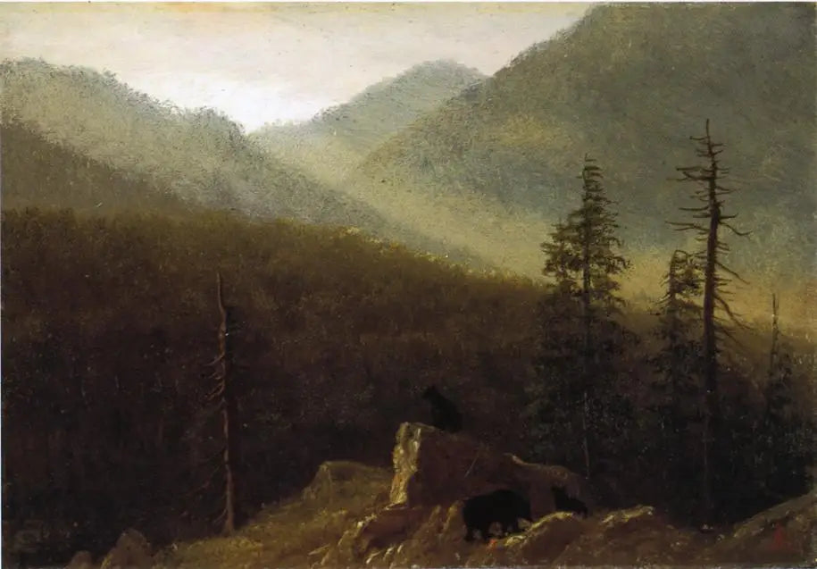 Ours dans la nature - Albert Bierstadt - Alpha Reproduction