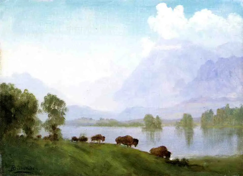 Země bizonů - Albert Bierstadt