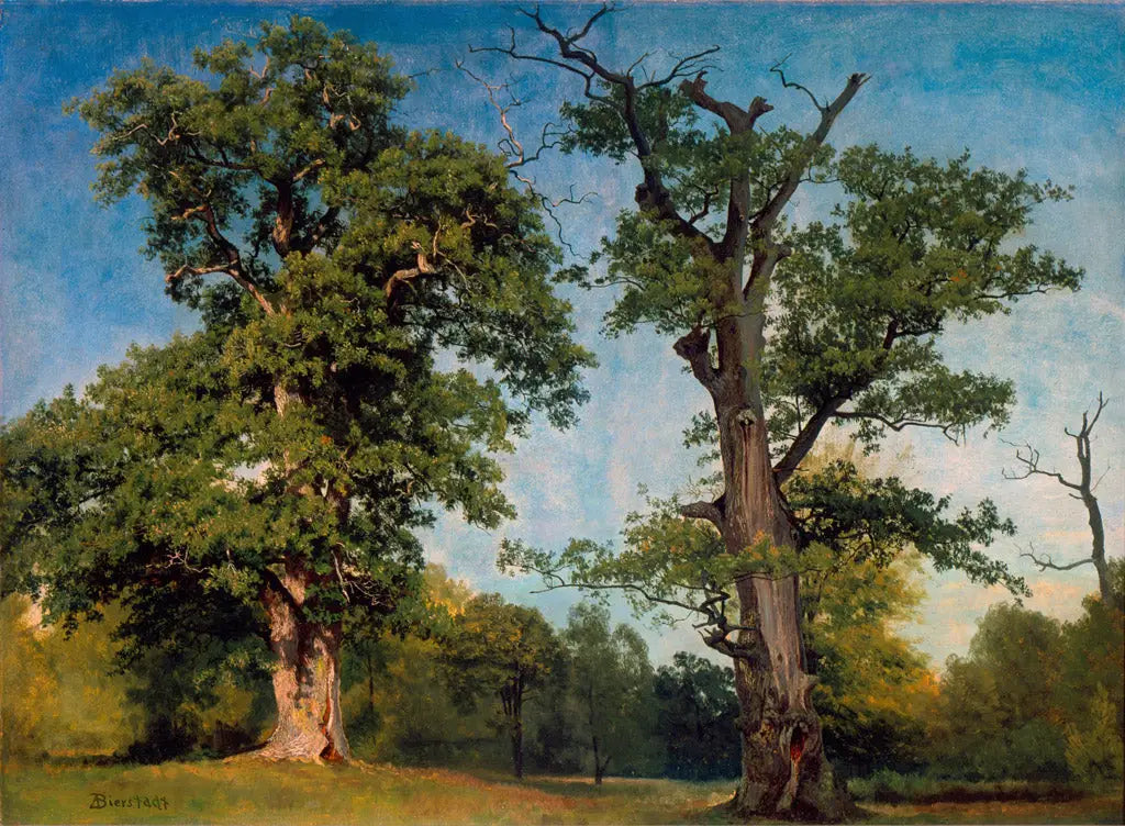 Pionniers des bois Californie - Albert Bierstadt - Alpha Reproduction