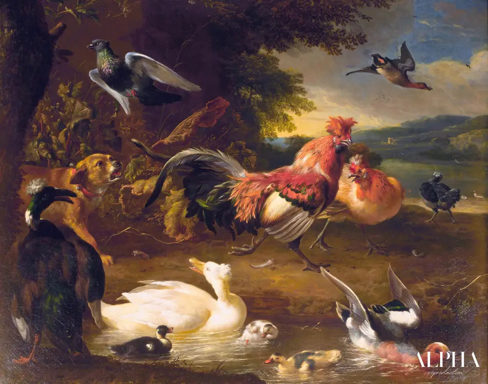 Poules et canards - Melchior d'Hondecoeter - Reproductions de tableaux et peintures haut de gamme