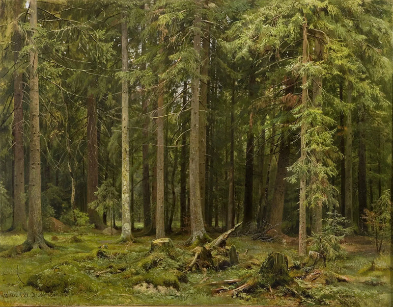 Q130503498 - Ivan Chichkine