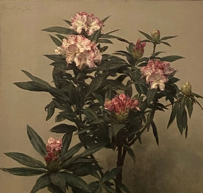 Rhododendrony - Henri Fantin-Latour