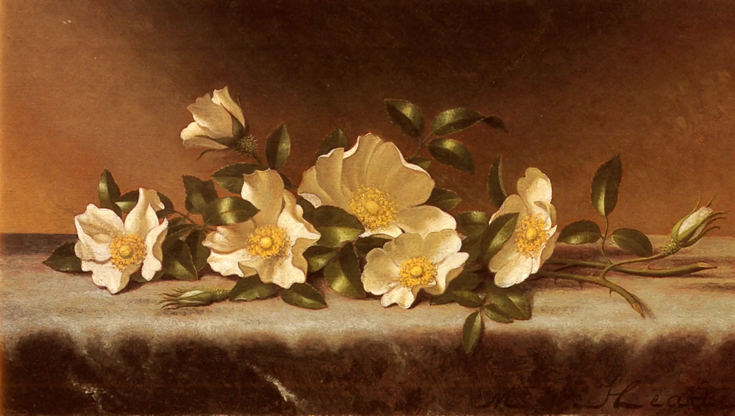 Roses Cherokee sur un tissu gris clair - Martin Johnson Heade - Alpha Reproduction