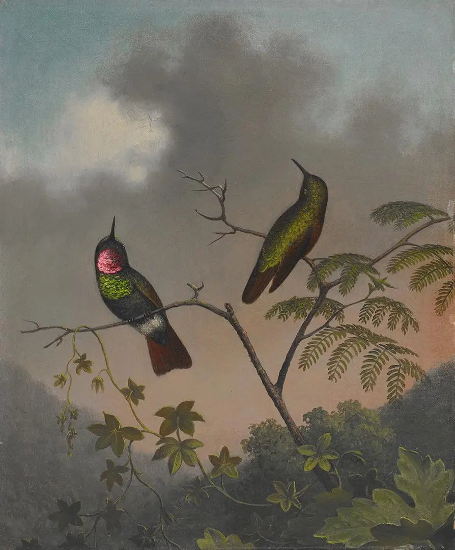Rubis brésilien - Martin Johnson Heade - Alpha Reproduction
