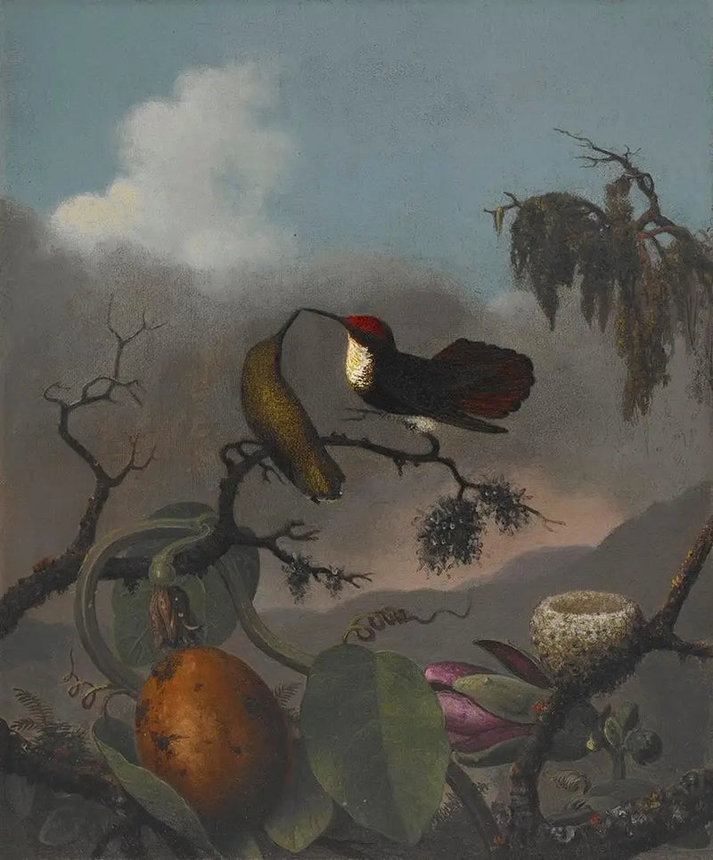 Rubis-Topas - Martin Johnson Heade