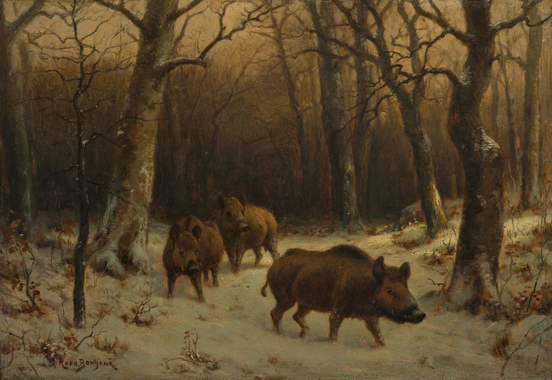 Prasata v sněhu - Rosa Bonheur