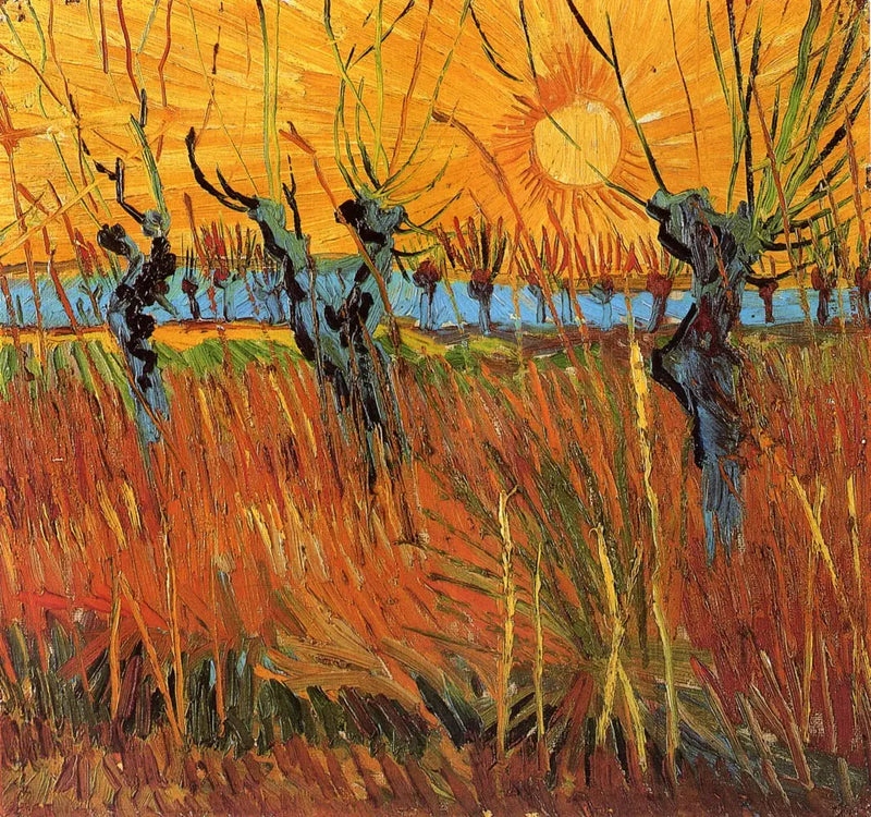 Vrby při západu slunce - Vincent van Gogh