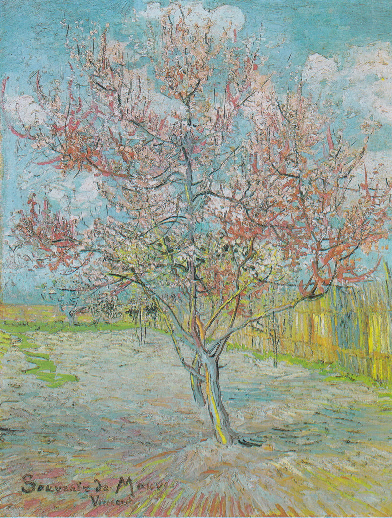 Vzpomínka na Mauve - Vincent van Gogh