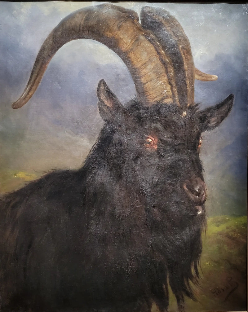 Hlava kozla - Rosa Bonheur