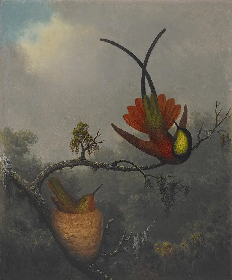 Topas karmazínový - Martin Johnson Heade