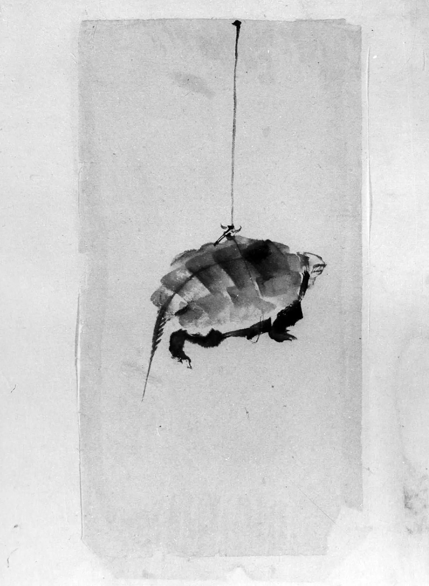 Tortue suspendue par une ficelle - Hokusai - Alpha Reproduction