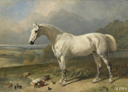 Un cheval gris et des canards dans un paysage - John Frederick Herring Snr - Reproductions de tableaux et peintures haut de gamme