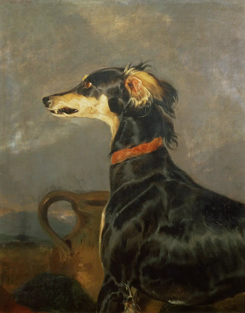 Un pes Saluki - Edwin Henry Landseer