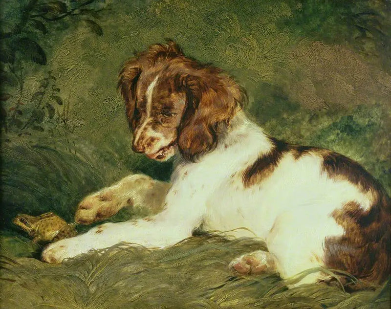 Štěně škádlí žábu - Edwin Henry Landseer