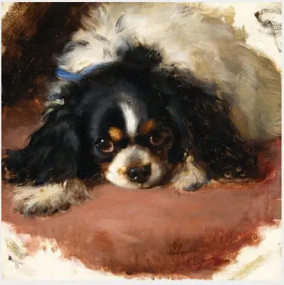 Španěl King Charles - Edwin Henry Landseer