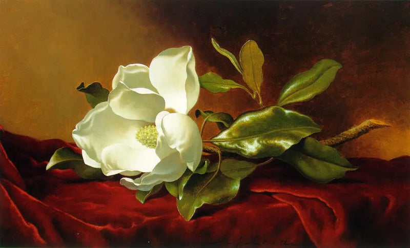 Magnólie na červeném sametu - Martin Johnson Heade