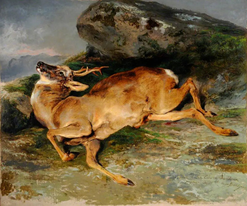 Ztracený výstřel - Edwin Henry Landseer