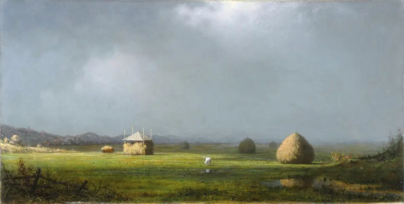 Oblačný den - Martin Johnson Heade