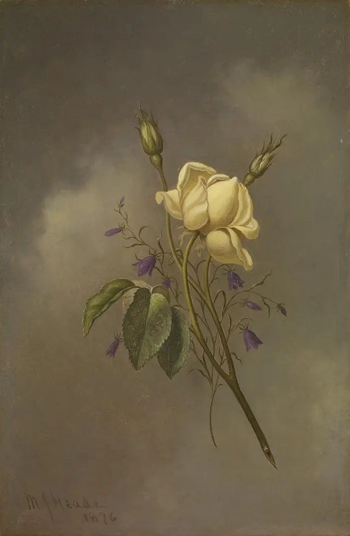 Žlutá růže proti zamračené obloze - Martin Johnson Heade