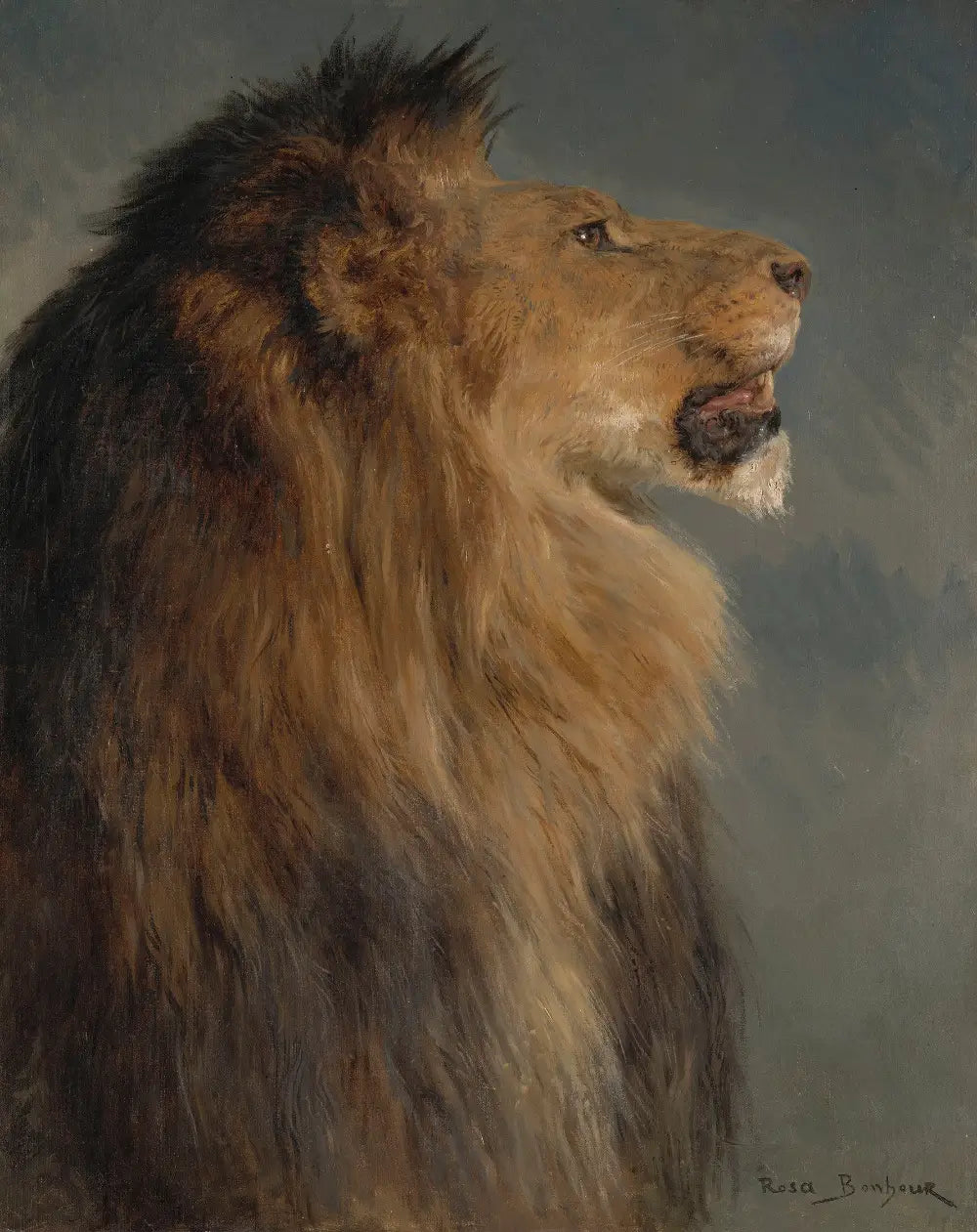 Une tête de lion - Rosa Bonheur - Alpha Reproduction