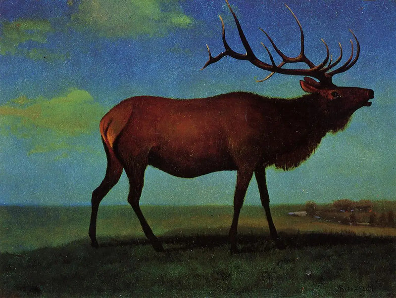 Samec Wapiti - Albert Bierstadt